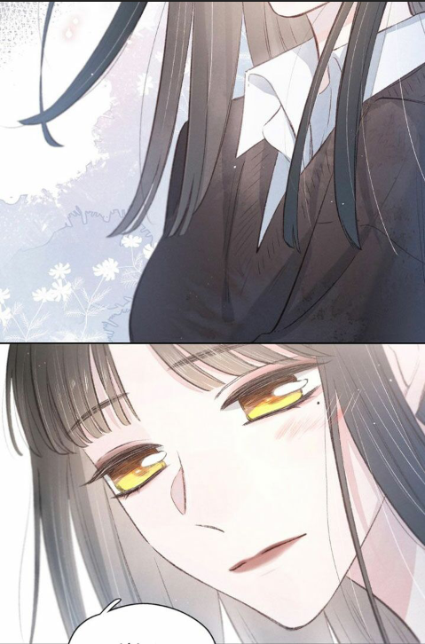 nỗi buồn của hoa cẩm tú cầu chapter 27 13