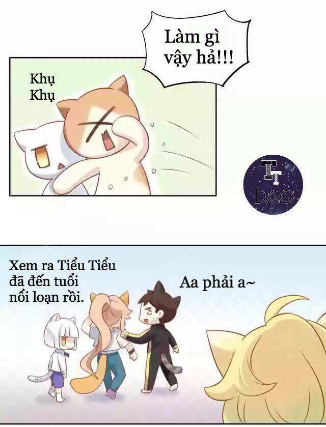 dưới móng vuốt mèo chapter 11 24