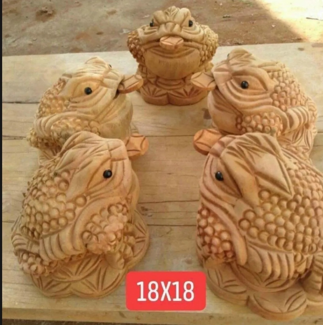 Tượng cóc ngậm tiền gỗ xá xị kích thước 10 cm