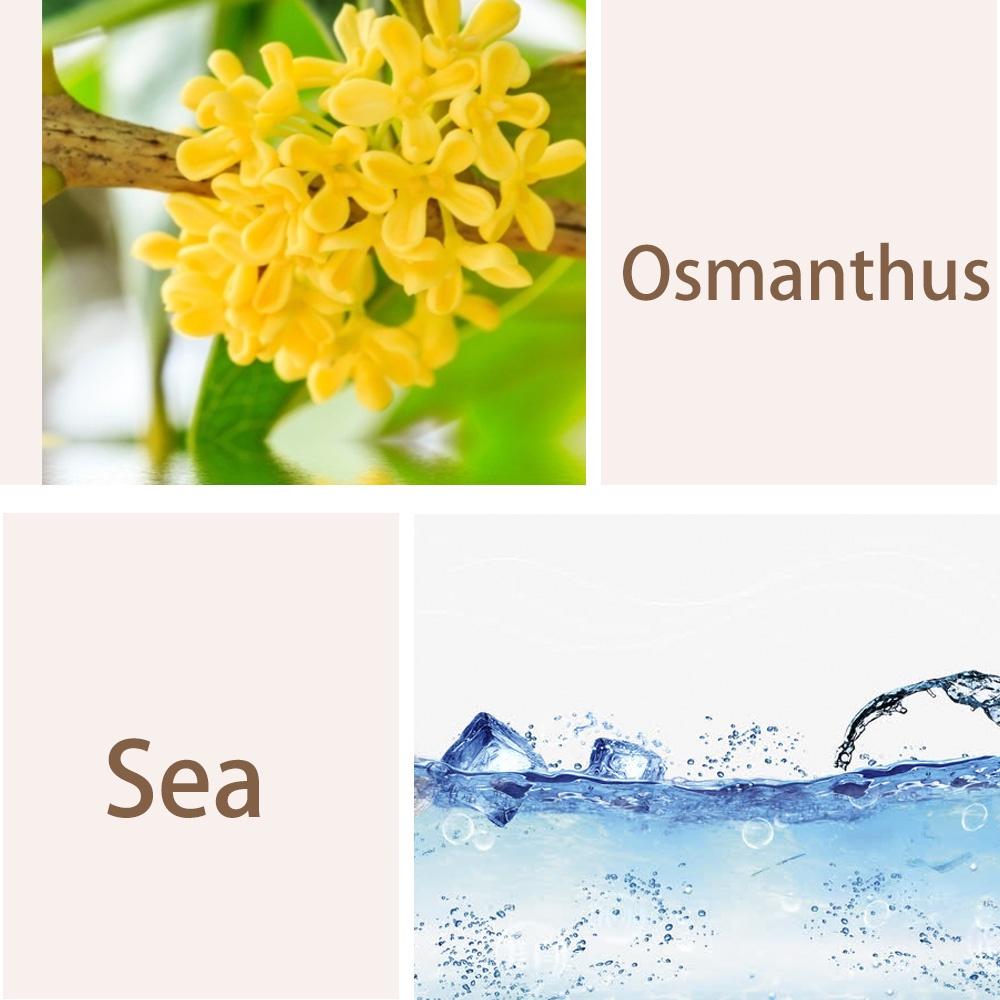 Phụ kiện khuếch tán nước hoa 4 loại hương thơm gắn điều hòa xe hơi