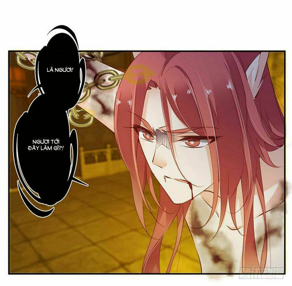 thiền tâm vấn đạo chapter 60 59