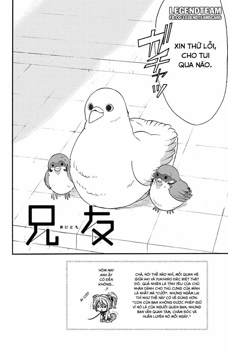 anitomo - bạn của anh trai tôi chapter 13 2