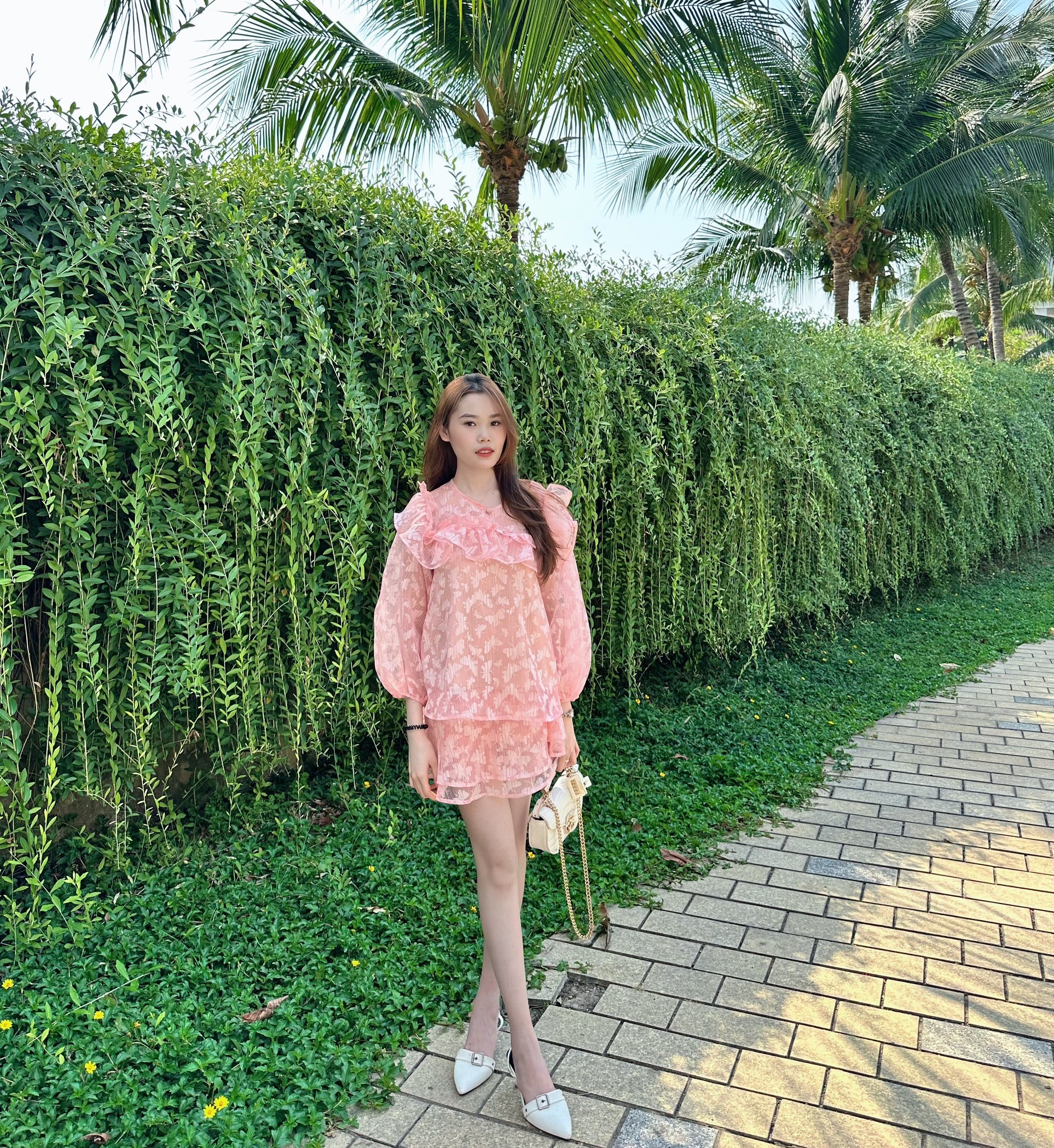 Mã D24 compo anzy dúng bèo Thiết Kế