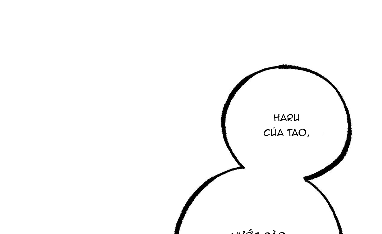 đàn thỏ của habibi chapter 36 12