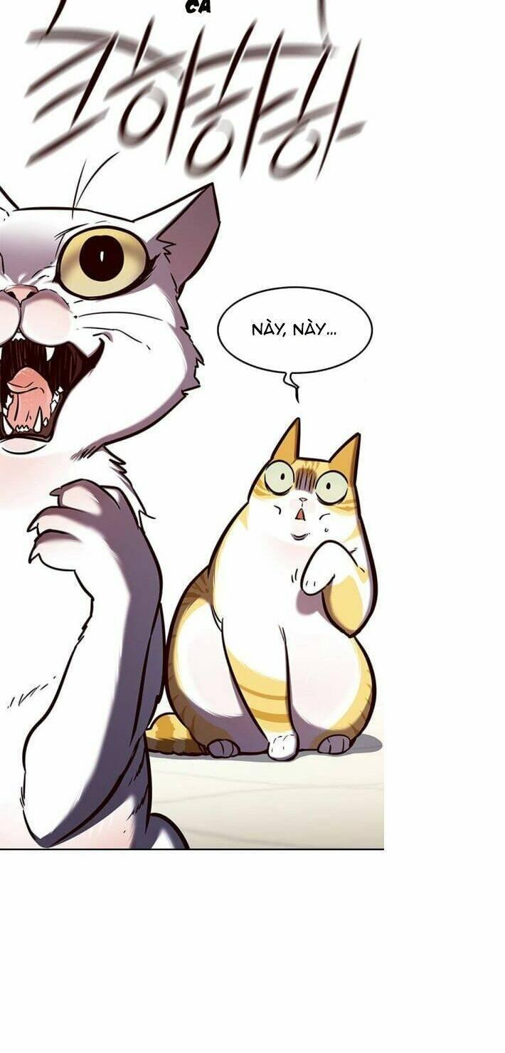 biến thân thành mèo chapter 141 71