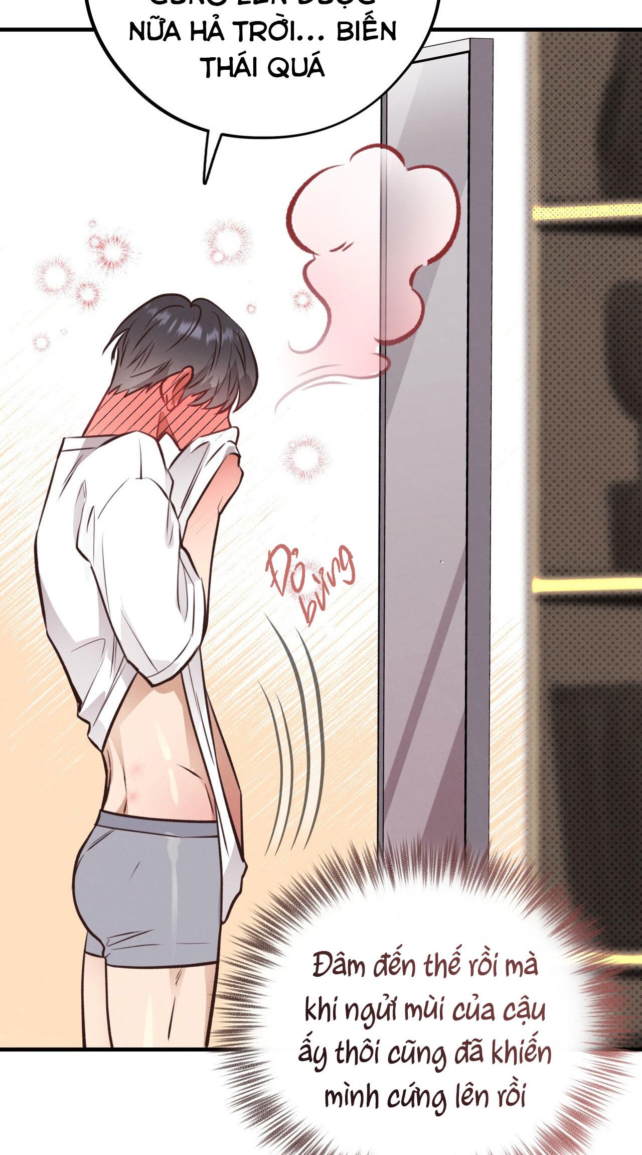 mật gấu chapter 29 100