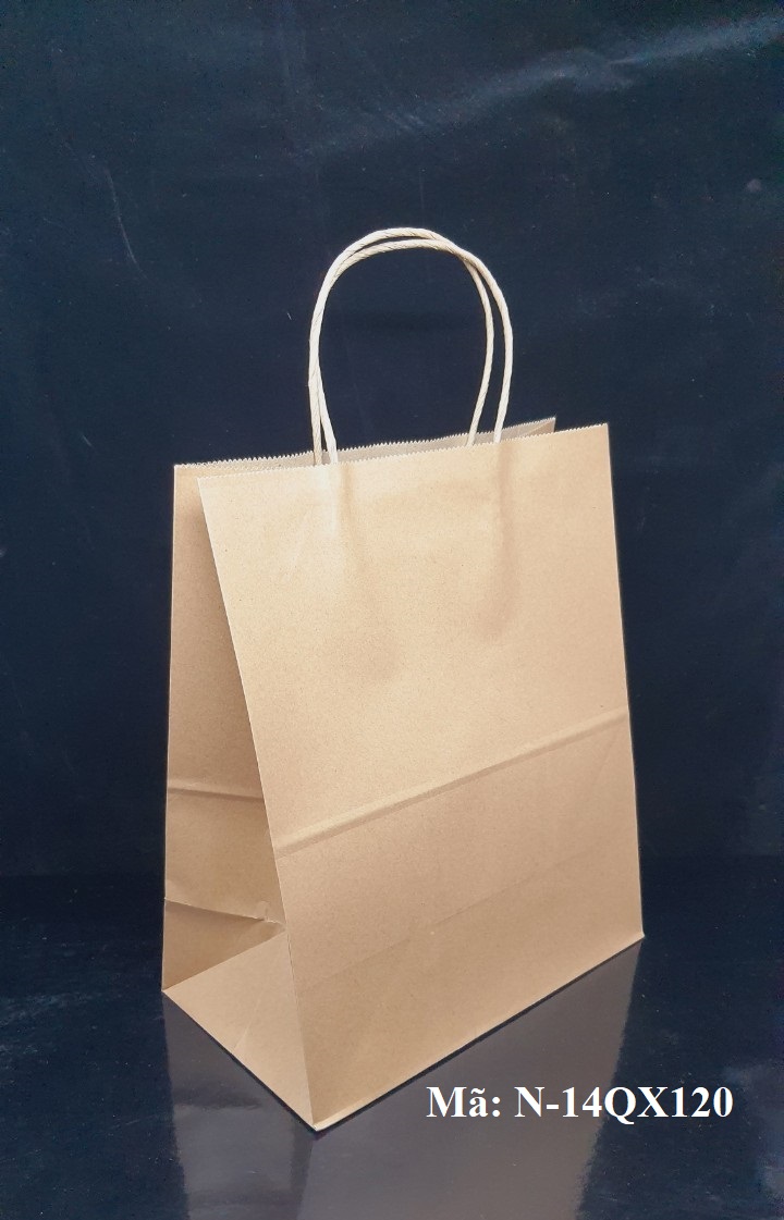 TÚI QUAI XÁCH LỚN ĐỊNH LƯỢNG 120gsm, 25x14x30cm