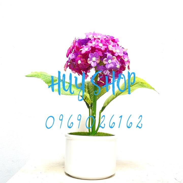 Lọ Hoa CẨM TÚ CẦU Sao nhân tạo trang trí nhà cửa