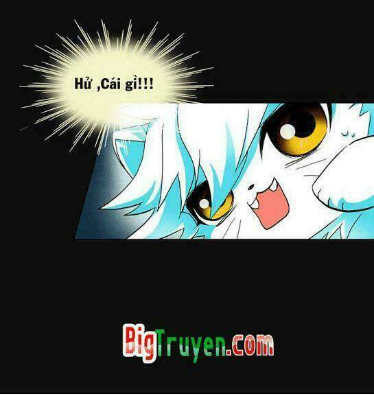 hoàng tử mèo đáng ghét chapter 1 16