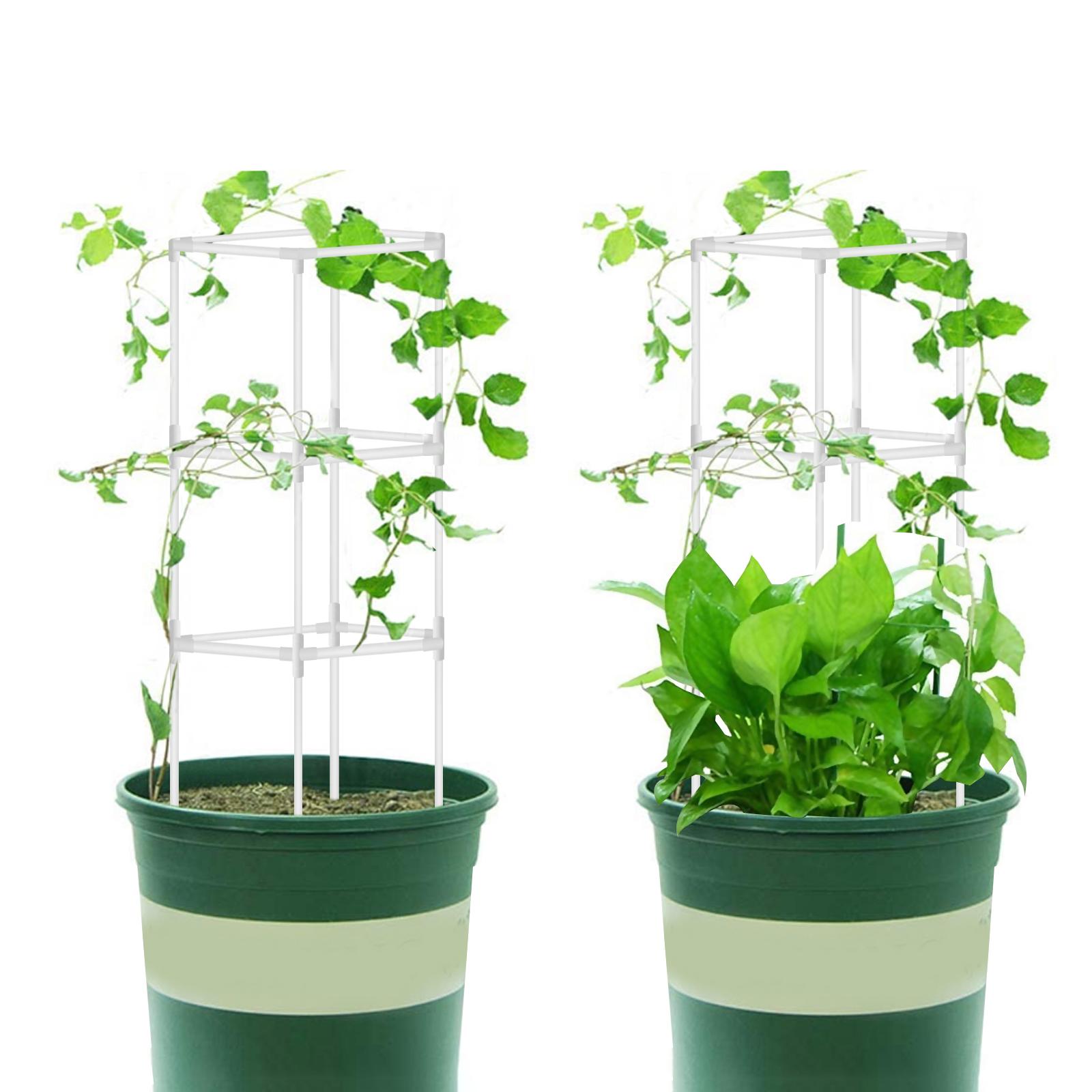 Kệ trồng cà chua 16 inch hỗ trợ dây leo ra hoa quả nhỏ