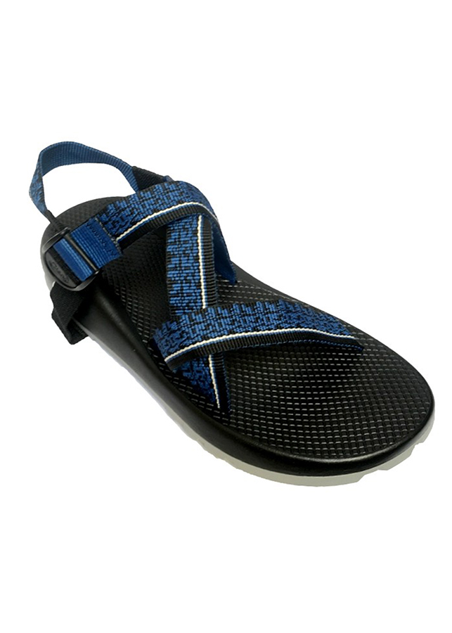 Giày Sandal Nam Quai Hậu D42 - Xanh