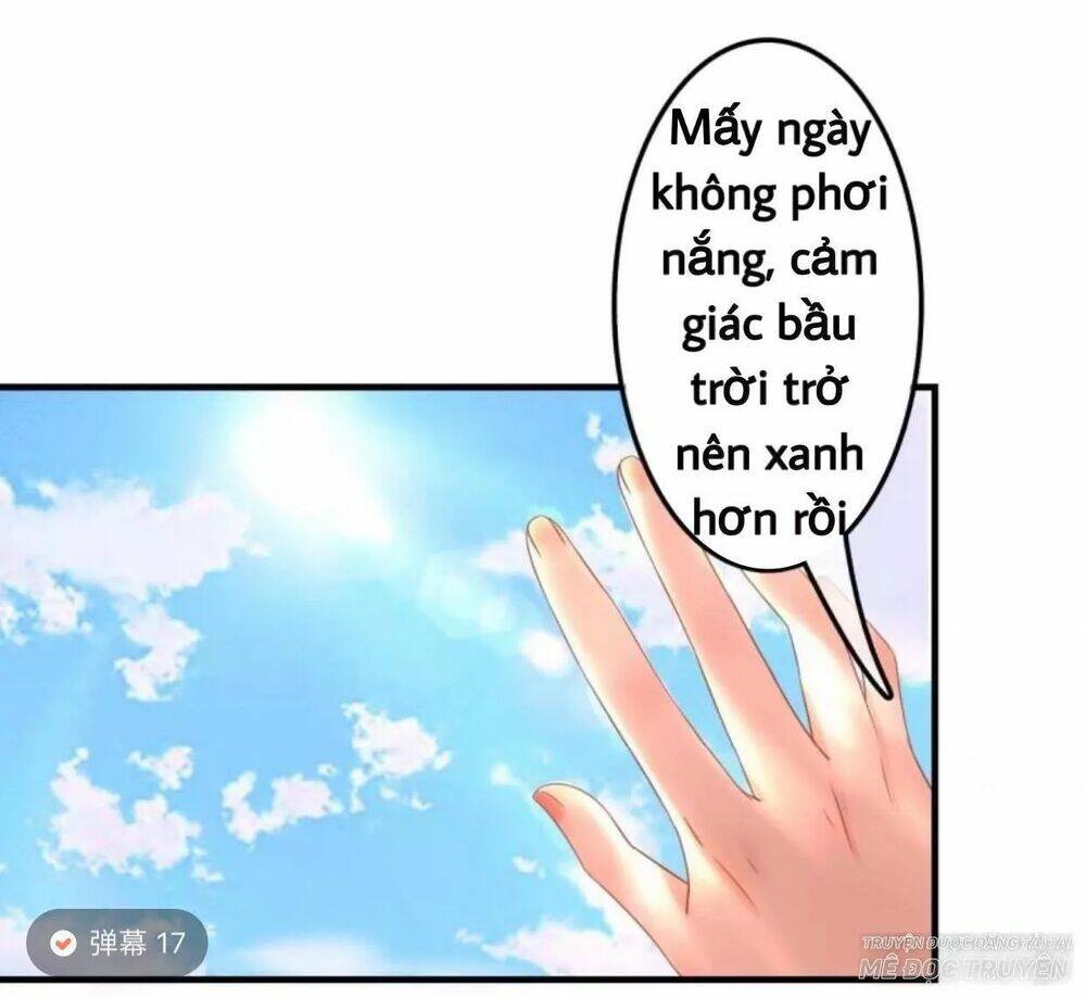 sủng phi của vương chapter 71 7