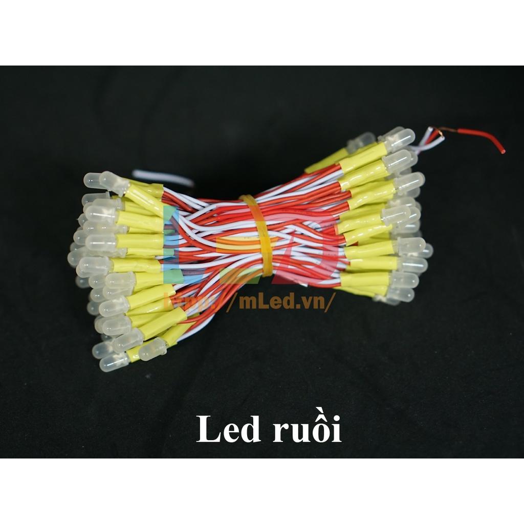 Led liền dây 100 bóng điện áp 5V và 12V, Led ruồi đơn sắc (Trắng, đỏ, vàng, xanh lá...)