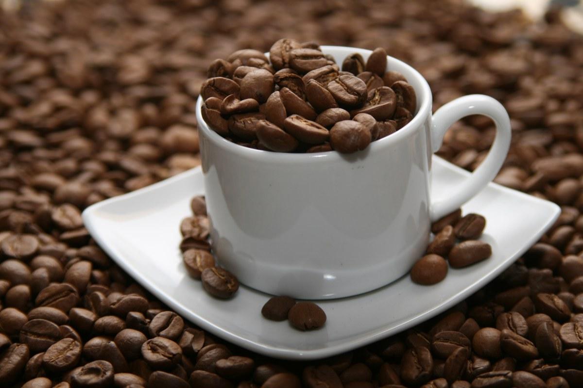 Cà Phê Arabica Cầu Đất - Pha Máy- Gói 500gr Nguyên Hạt Mùi Hương Dịu Nhẹ Vị Cân Bằng Hoàn Hảo Rovina Coffe