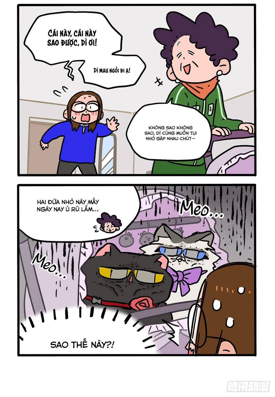 a mãn và mạch trà chapter 149 4