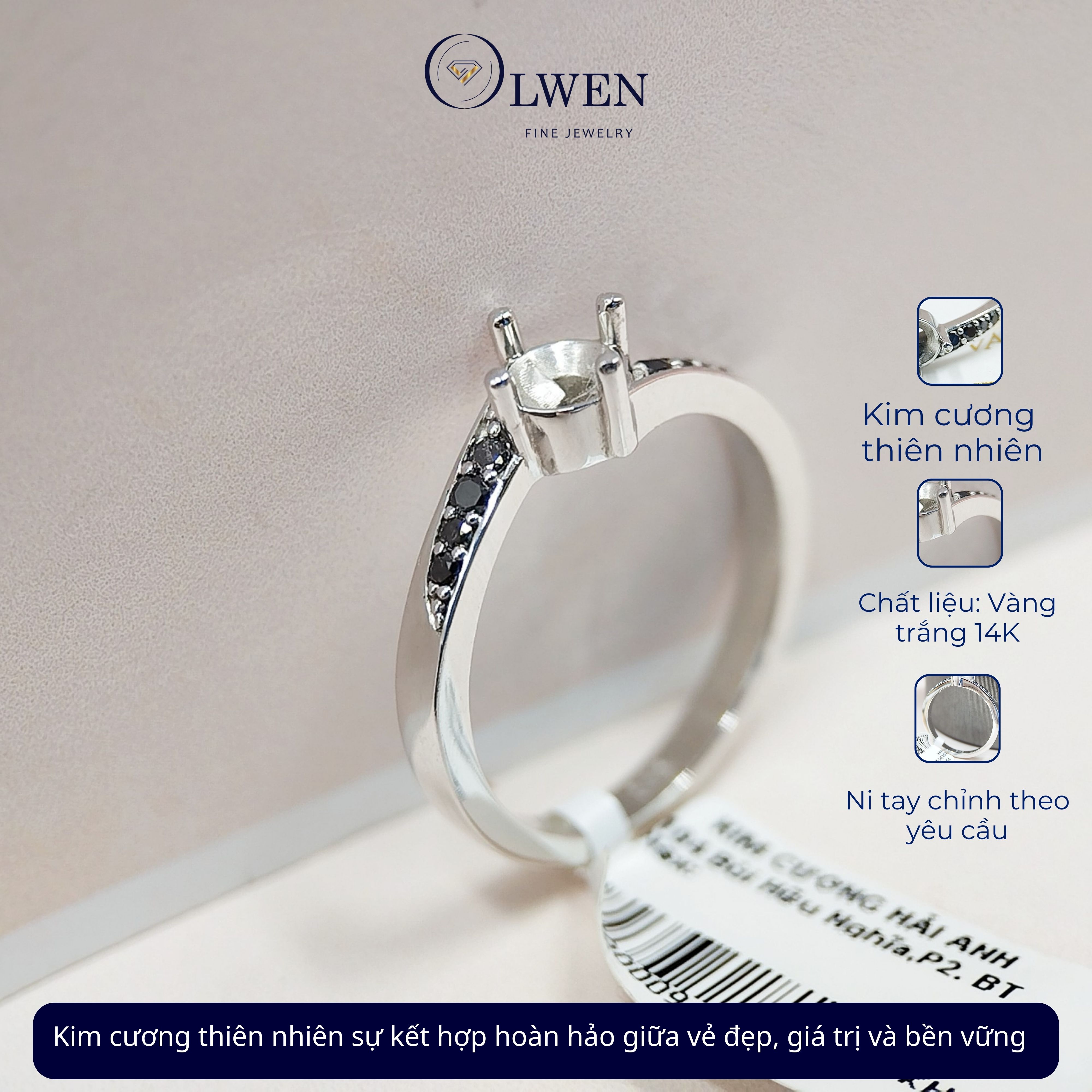 Nhẫn Kim Cương Đen 14K Olwen HA-R000073