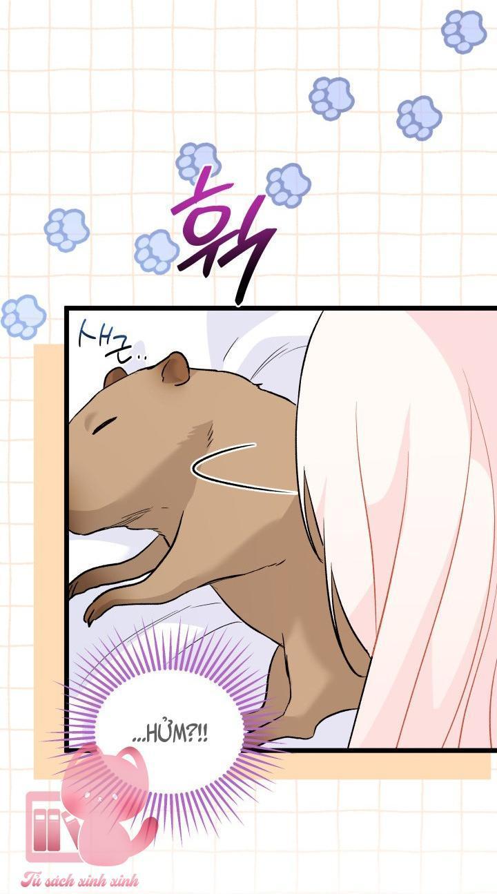 quan hệ cộng sinh giữa báo đen và thỏ trắng chapter 123 21