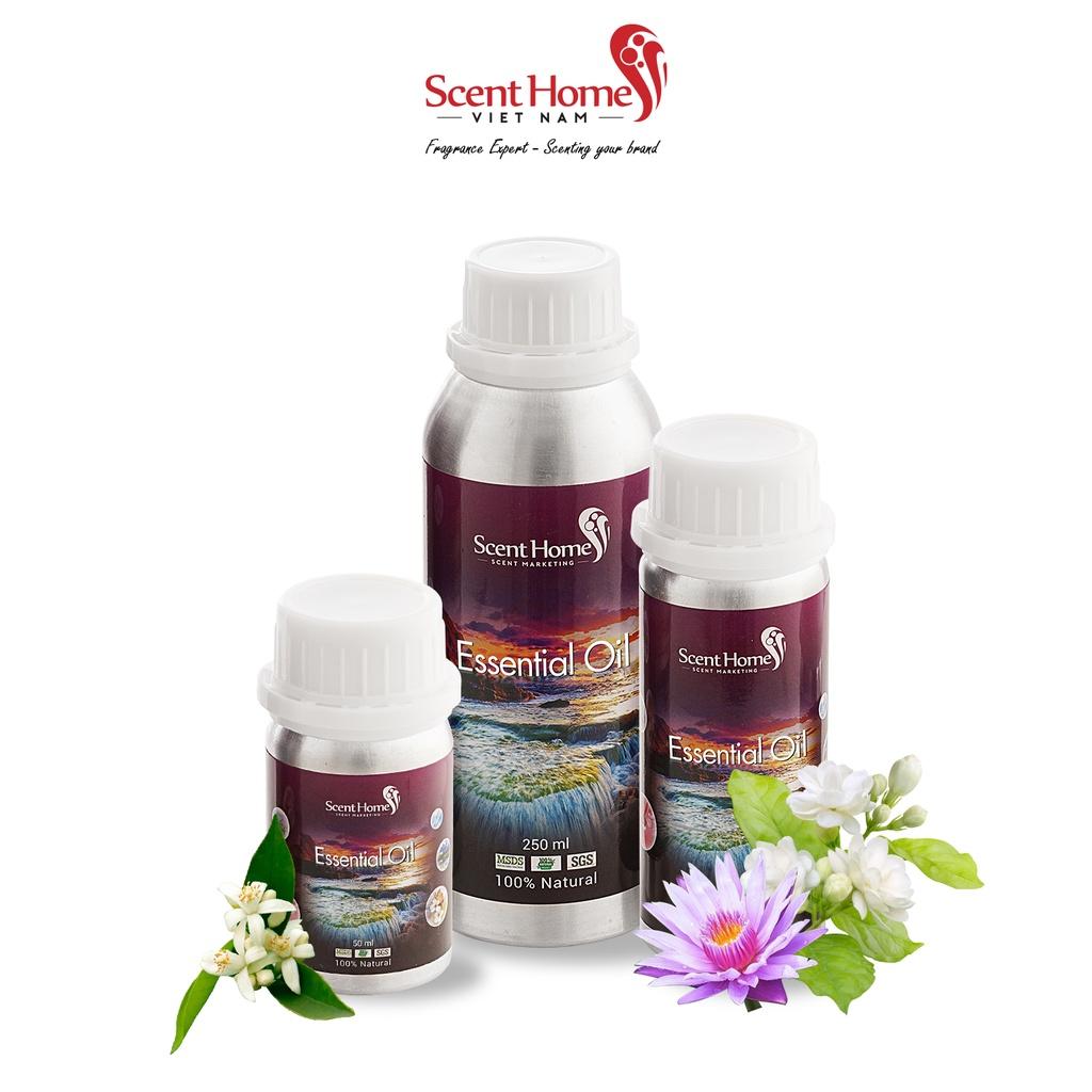 Tinh dầu Scent Homes - mùi hương