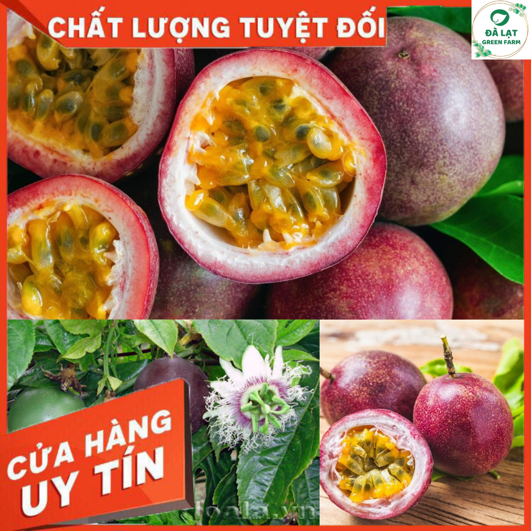 130H_Hạt giống Chanh Dây (sai trái)