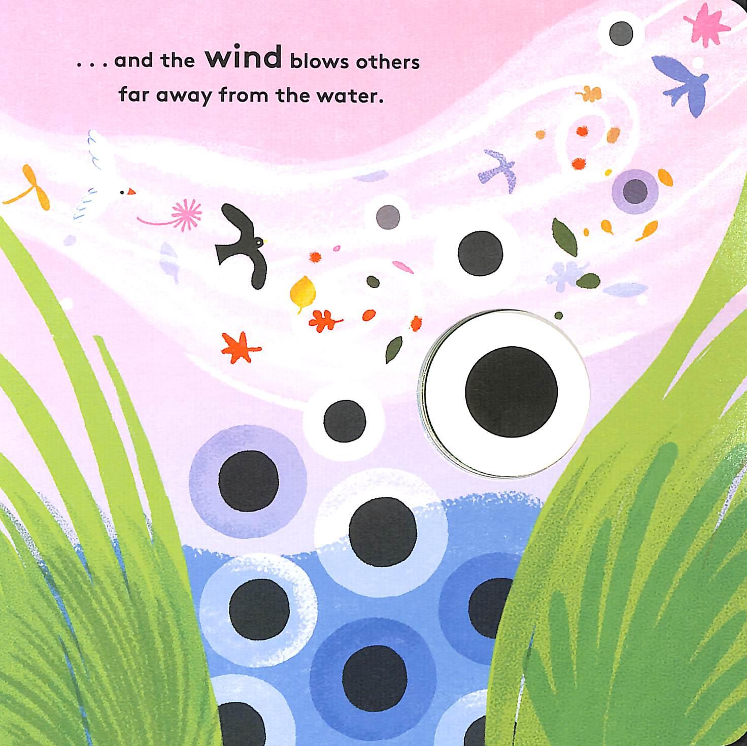 Sách ngoại văn: Little Life Cycles - Frog