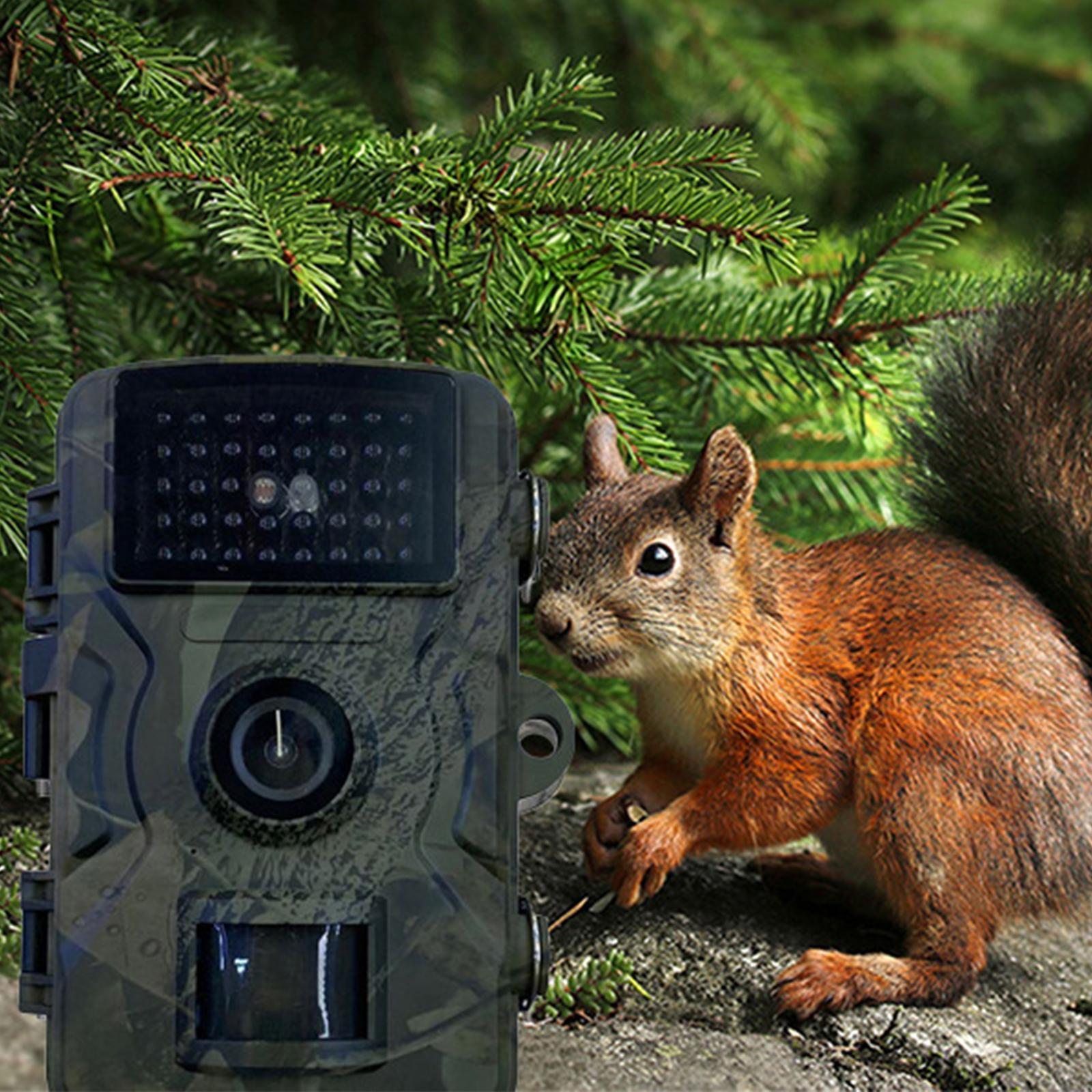 Trail Camera Mini with Night View Deer Camera for Garden Wildlife Watching