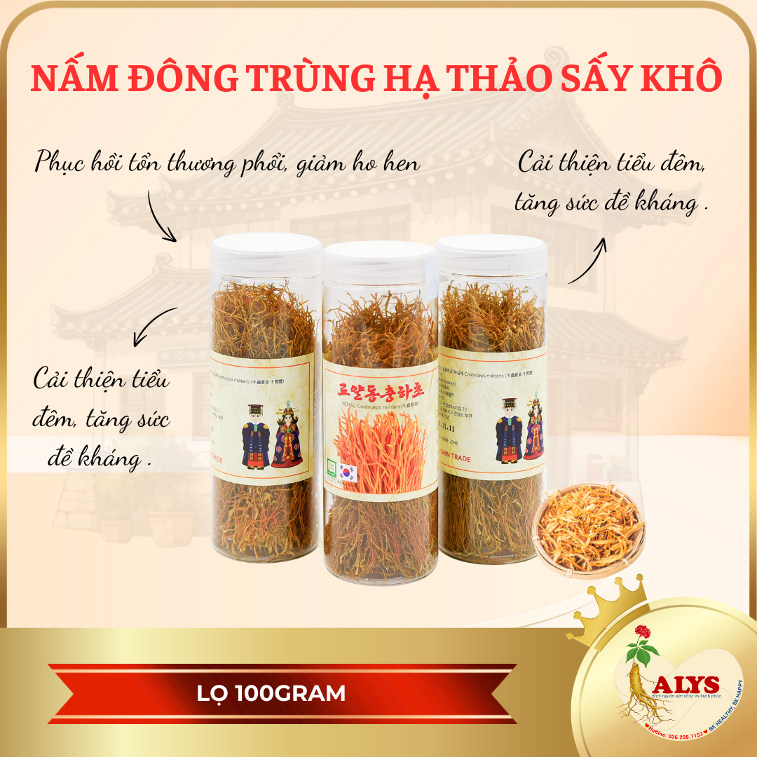 Nấm Đông Trùng Hạ Thảo Sấy Khô Hàn Quốc ( Hộp 100gram)