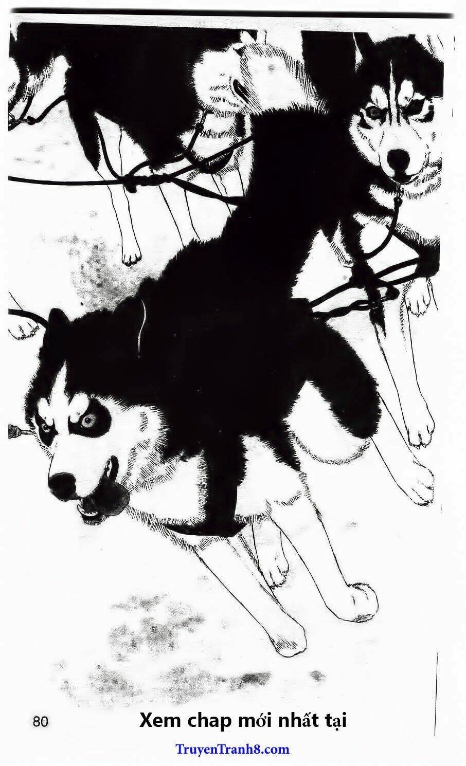 doubutsu no oishasan chapter 85 3