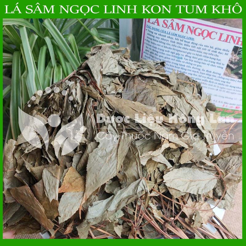 [THƯỢNG HẠNG] 100G Lá Sâm Ngọc Linh Kon Tum sấy khô nguyên chất loại 1