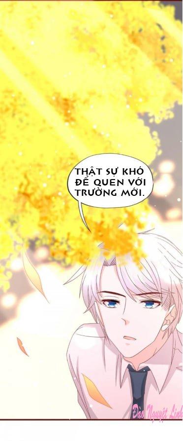tình yêu bốn mùa chapter 17 22