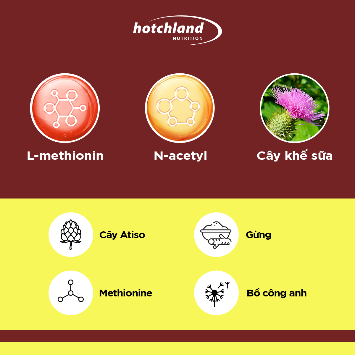 Viên uống hỗ trợ giải độc, hạ men gan, gan nhiễm mỡ, giải độc gan hiệu quả Hotchland Mega Liver TPBVSK-Hàng chính hãng -HL0122