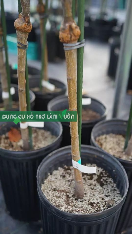 ỐNG LÕI THÉP BỌC NHỰA PHI 11, COMBO 10 ỐNG