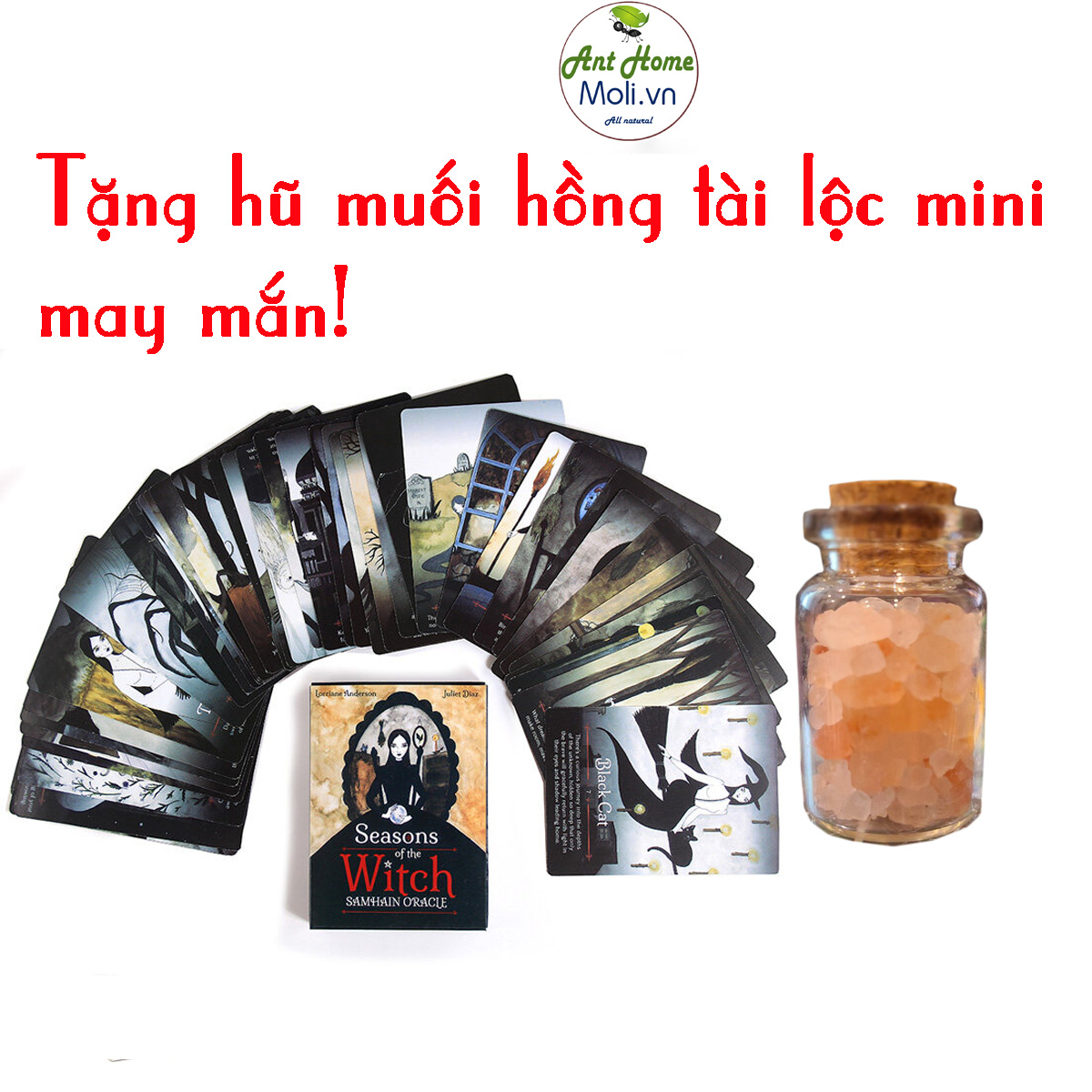 Bộ bài oracle Seasons of the Witch Samhain Oracle -SongAnEco {Kèm quà tặng}