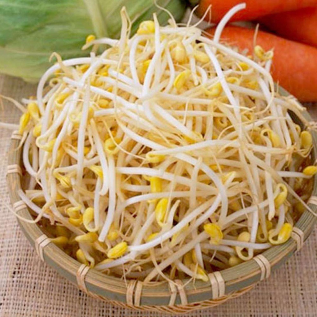 Hạt Giống Mầm Giá Đậu Xanh Nảy Mầm Tốt