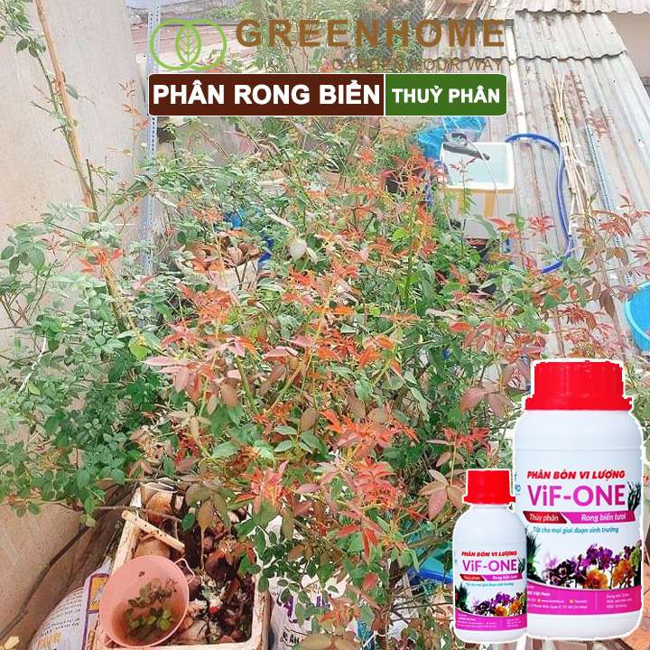 Phân bón lá Lavamix, rong biển, chai 100ml, siêu kích rễ, mầm lá, hoa hồng, lan, các lại rau |Greenhome