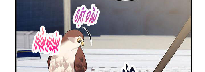 công chúa của loài chim chapter 50 146