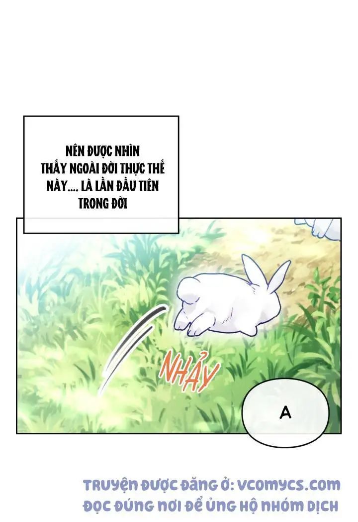 kết cục của nhân vật phản diện chỉ có thể là cái chết chapter 67 9