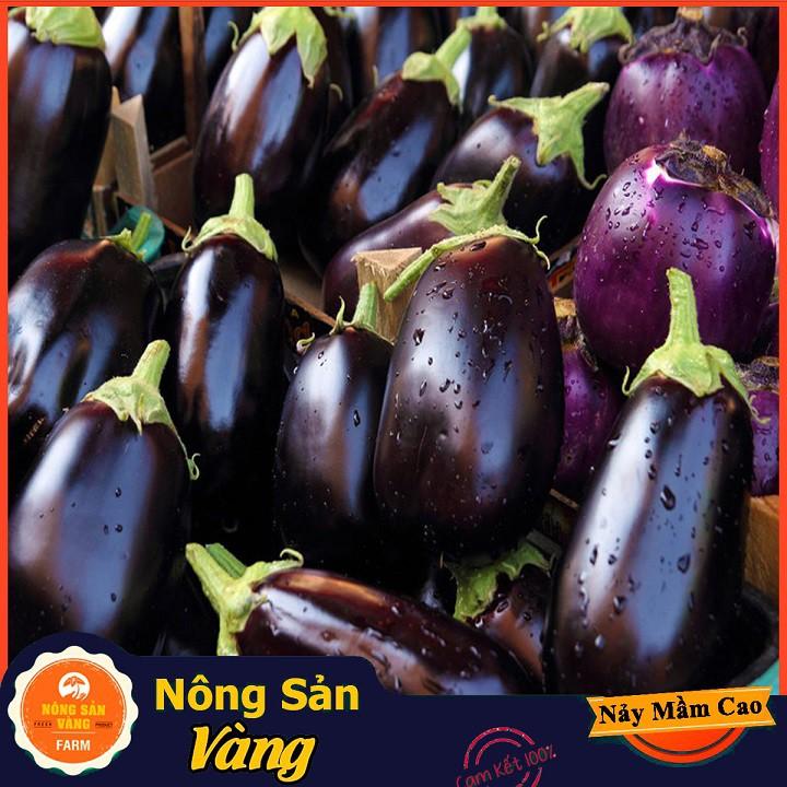 Hạt giống Cà Tím Quả Lê