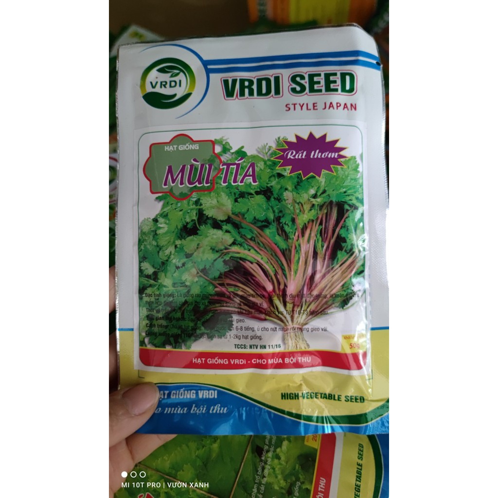 Hạt giống mùi tía  50gr