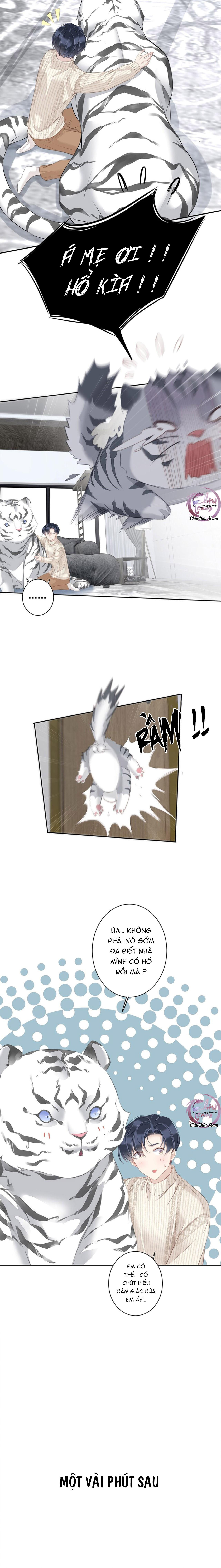 cuộc mai mối vượt giống loài chapter 35 6