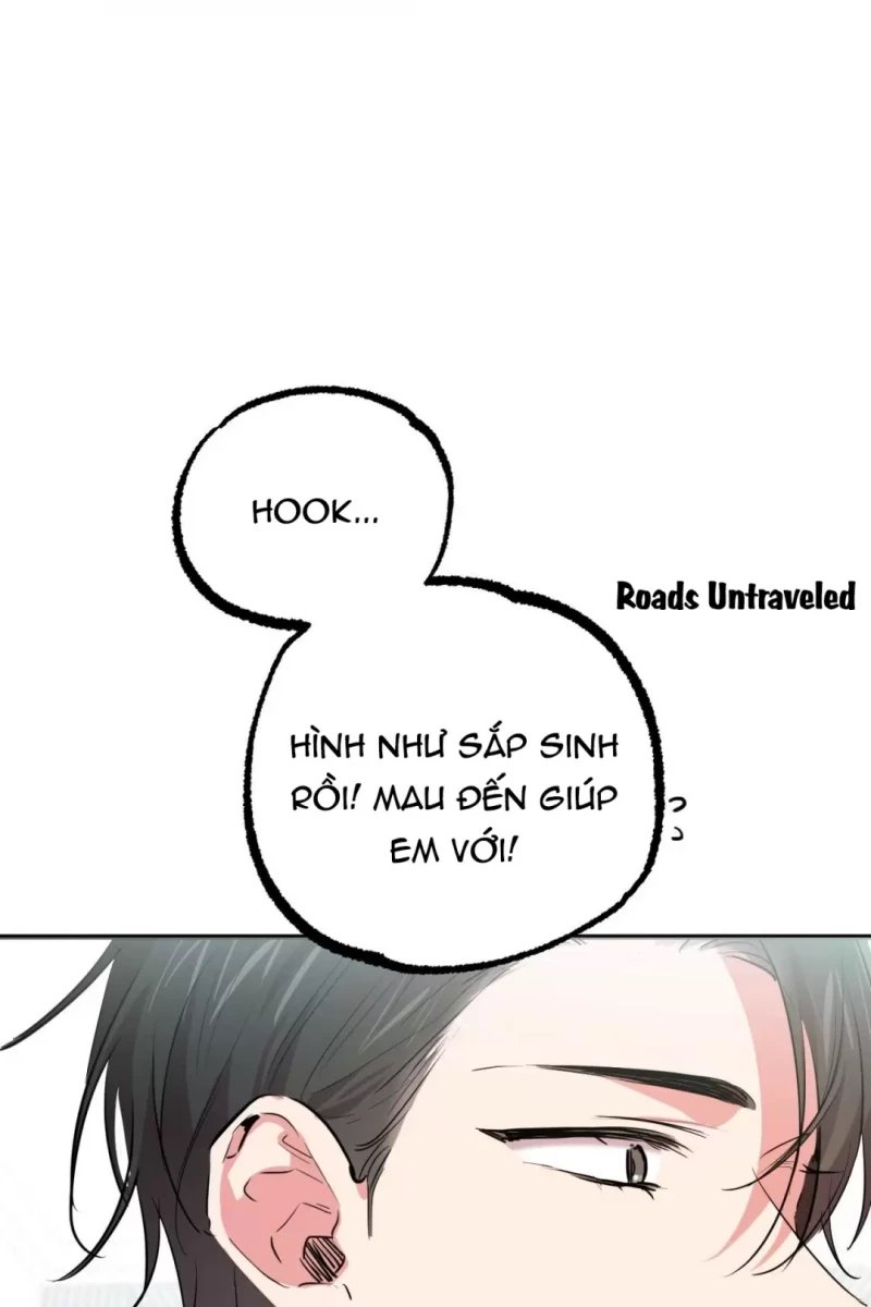 những chú thỏ của hapypy chapter 31.5 25