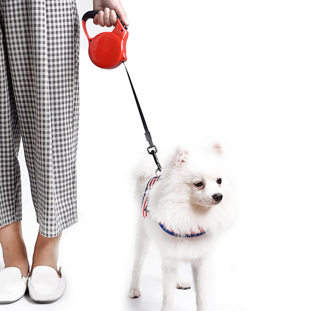 Dây Xích Cho Chó Có Thể Thu Vào Dài 3M Cho Vật Nuôi Thú Cưng Trọng Lượng Vừa