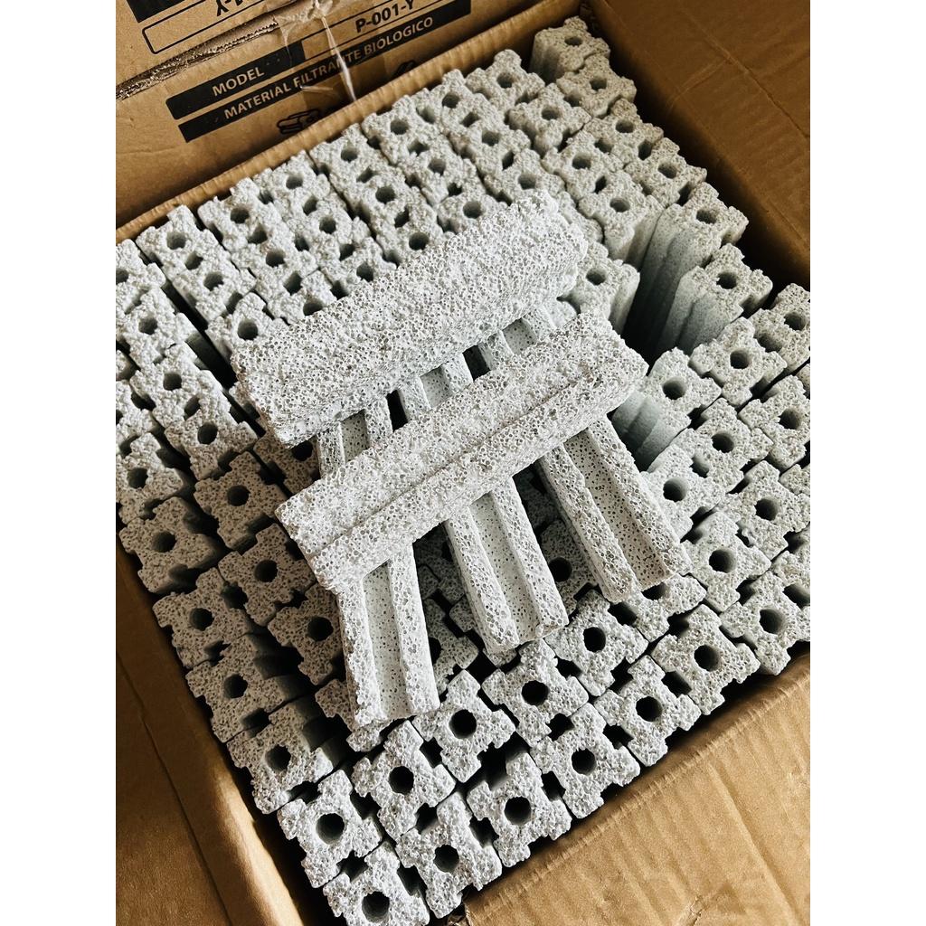 Sứ thanh xám loc hồ cá- bể cá hồ thủy sinh
