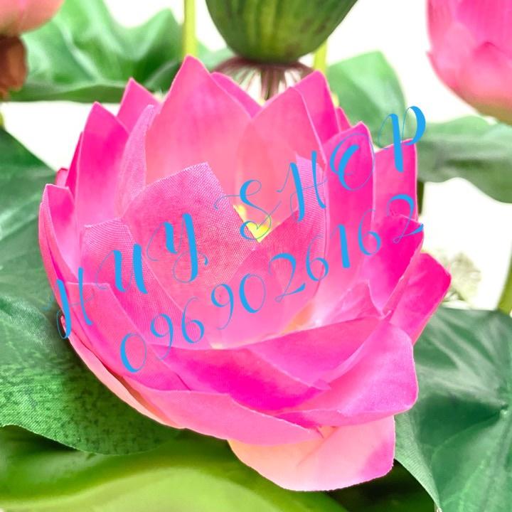 Chậu HOA SEN Vải cao cấp trang trí nhà cửa