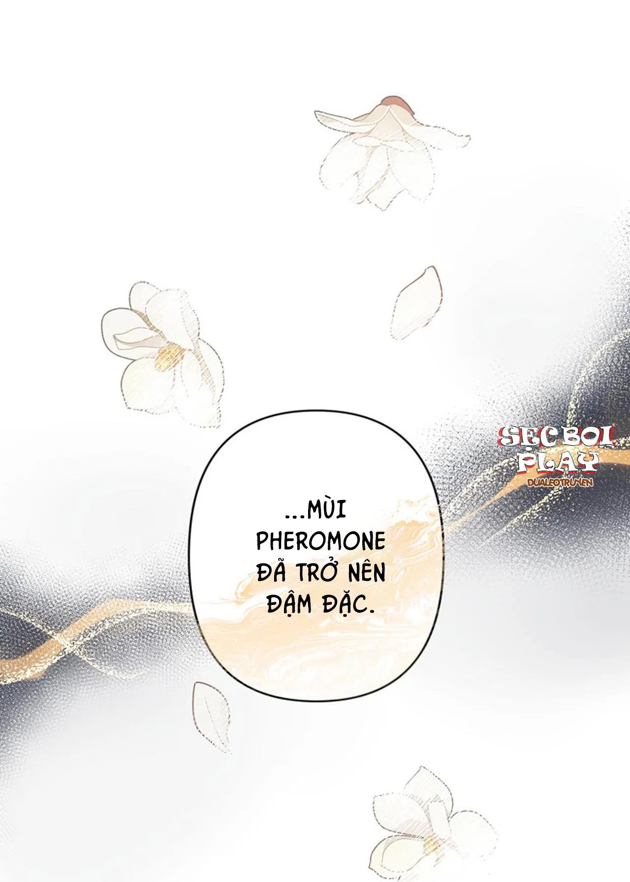 đêm dịu dàng chapter 16 8