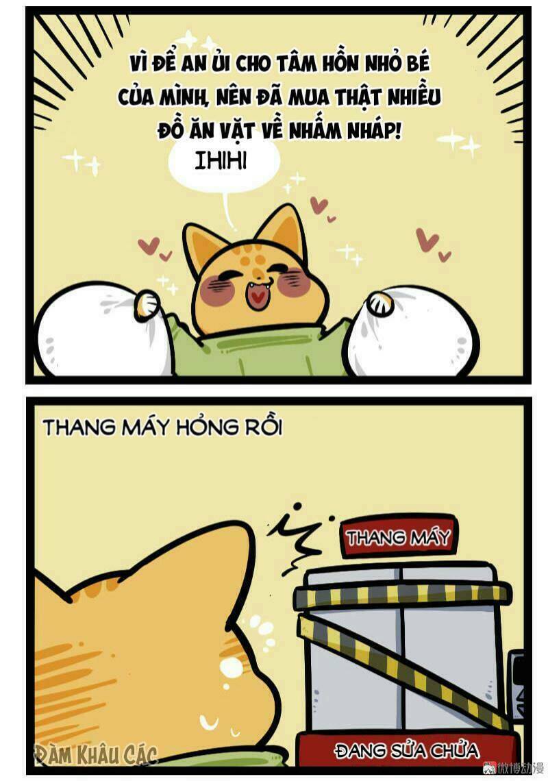 đời không như mình tưởng chapter 60 6