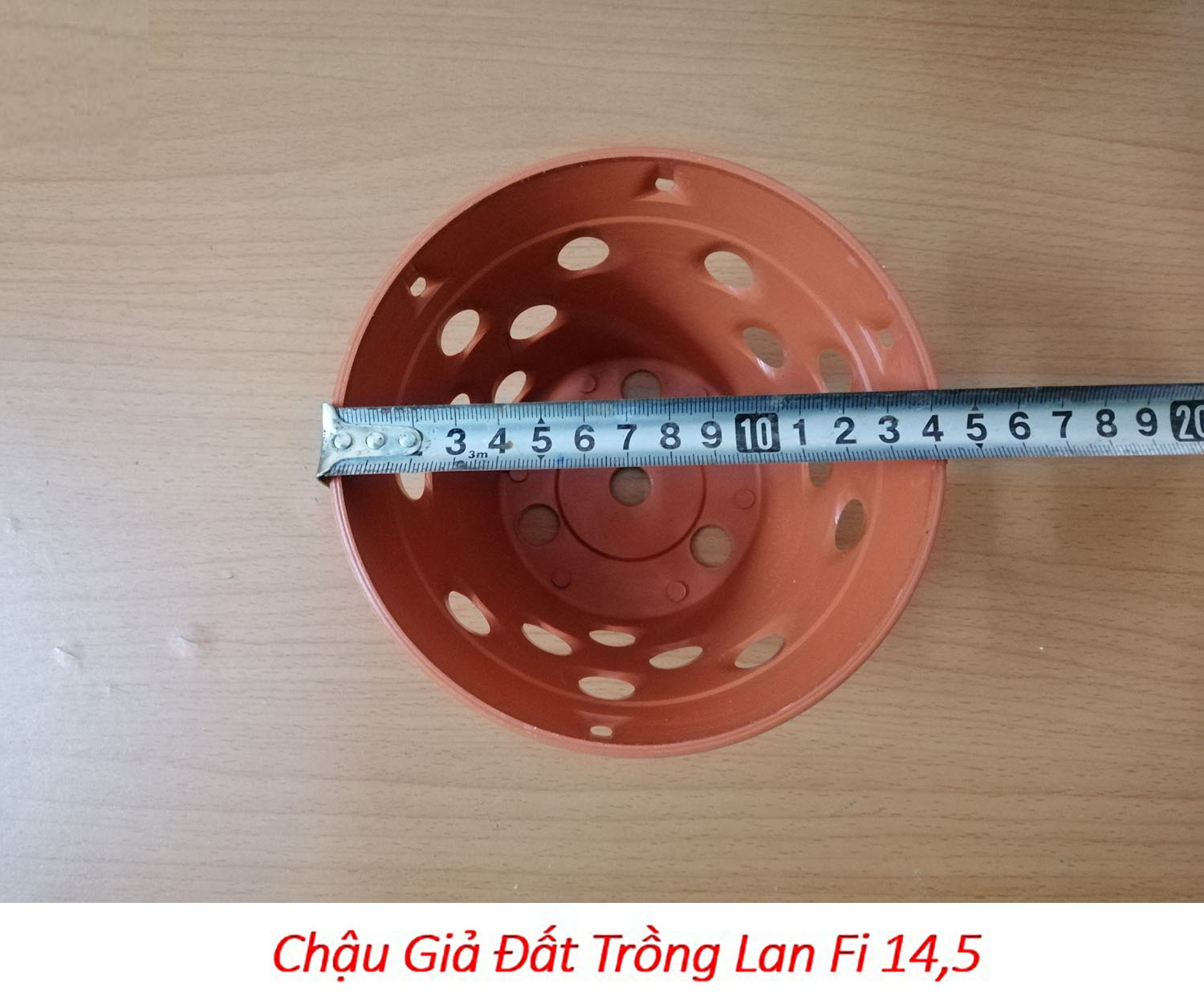 100 chậu giả đất trồng lan Fi 14.5 - đường kính 14.5cm