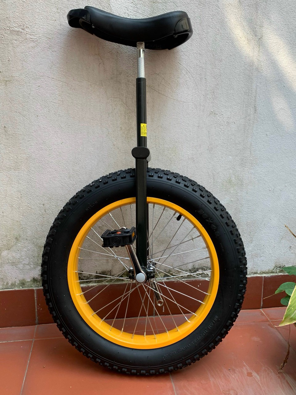 Unicycle - Xe đạp 1 bánh siêu to