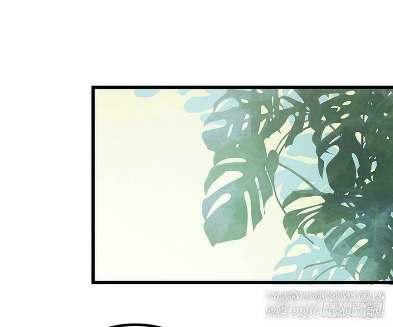 chào buổi sáng, ức vạn manh thê chapter 5 42