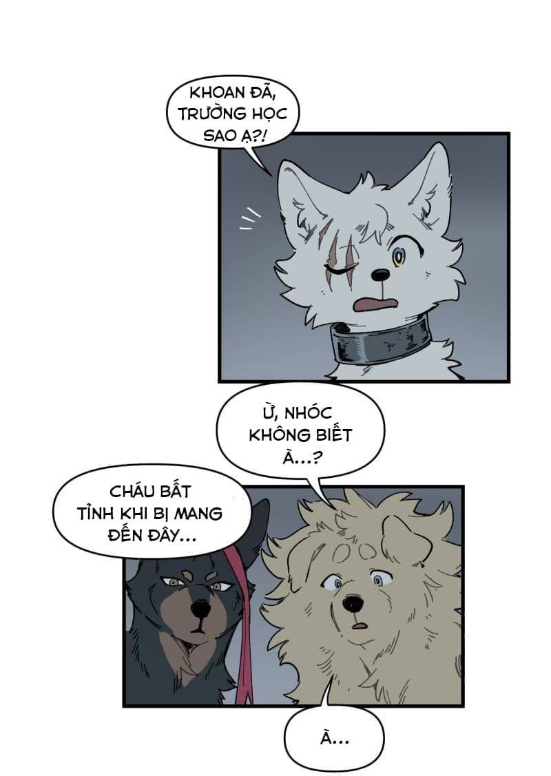 lumine - cội nguồn ánh sáng chapter 145 27