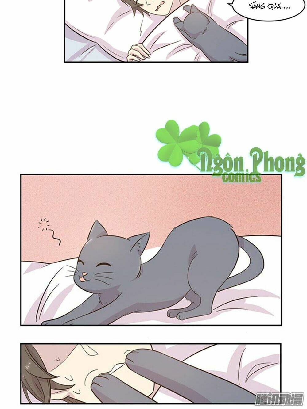 hai chú mèo totem chapter 19 16